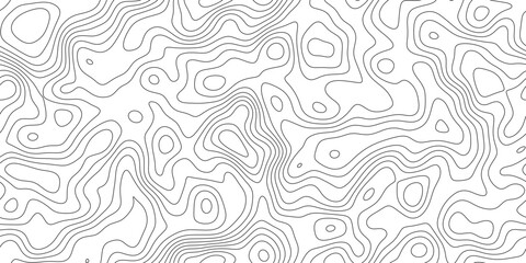 Minimal topography line pattern background, abstract geographic mapping lines with smooth organic curves, for backdrop, packaging and web design. © RASEL