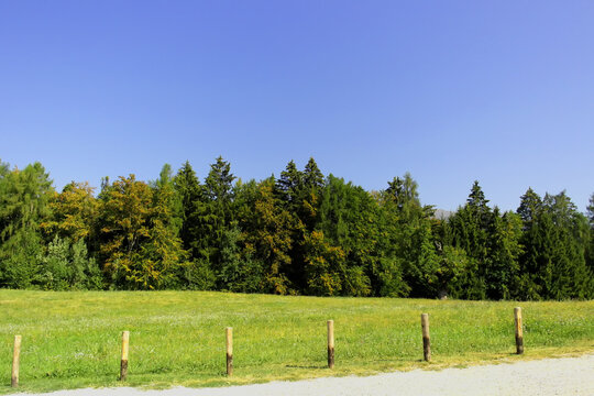 Paved country road lined with green trees, foliage, and wooden fence posts in Val di Sella near Arte Sella, Trentino, Northern Italy, on a sunny summer day.