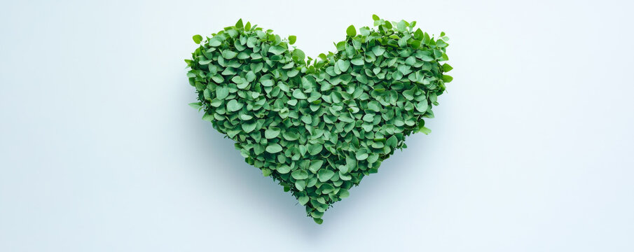 Heart-Shaped Green Leaves on Minimalist Background