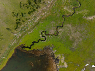 Fototapeta premium Meandering creek entering pond from green marshland aerial view