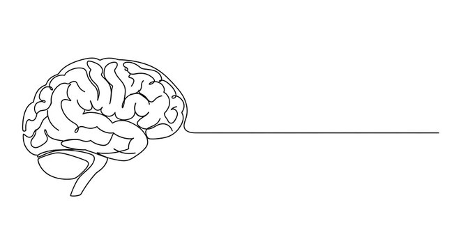 Minimalist line drawing of a human brain integrated with a sleek horizontal line design emphasizing neurological pathways and