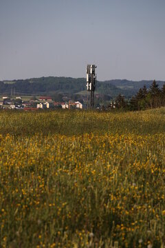 A tall tower is in the middle of a field of yellow flowers