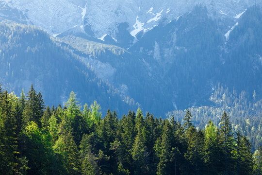 Travel landscape of Zugspitze Alps in Bavaria, Germany, scenic summer nature panorama with forest, snow mountains peak. Alpine landscape