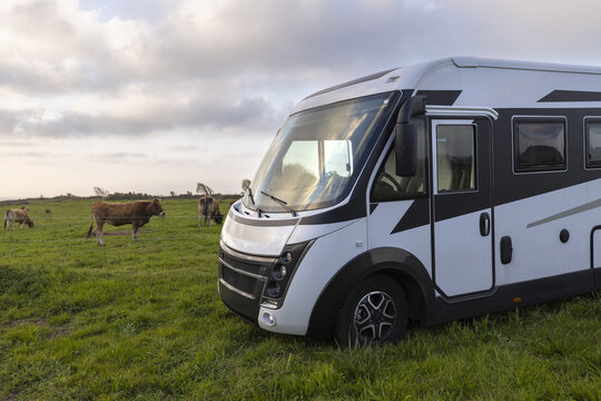 View of a modern white and black camper van parked in a green pasture with grazing cows under a cloudy sky in Portezuelo, Extremadura, Spain.