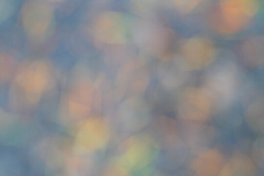 Soft Focus of Wet Leaves on a Rainy Day Background
