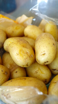 vari&eacute;t&eacute; de pommes de terre