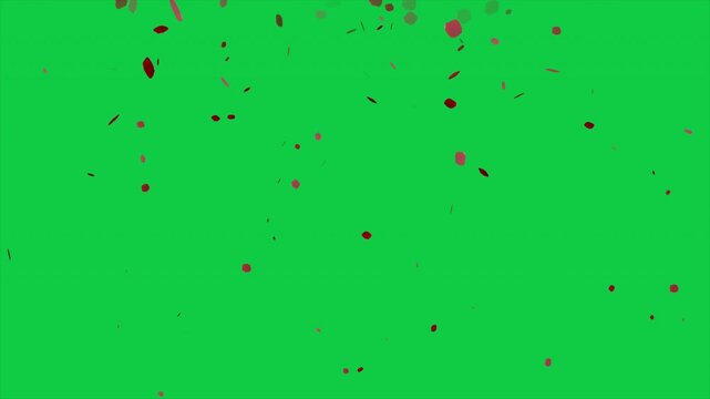 Falling red rose petals animation on green screen background chroma key