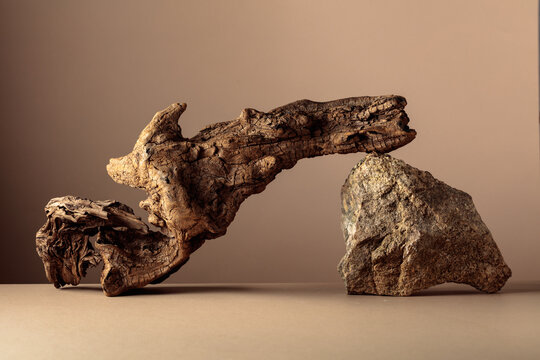 Old dry wooden snag and large crushed granite stone on a beige background.