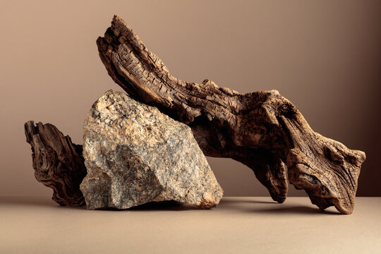 Old dry wooden snag and large crushed granite stone on a beige background.