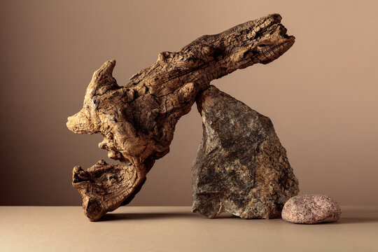 Old dry wooden snag and large crushed granite stone on a beige background.