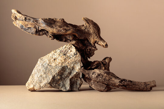 Old dry wooden snags and large crushed granite stone on a beige background.