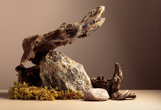 Old dry wooden snag, large crushed granite stone, and moss on a beige background.
