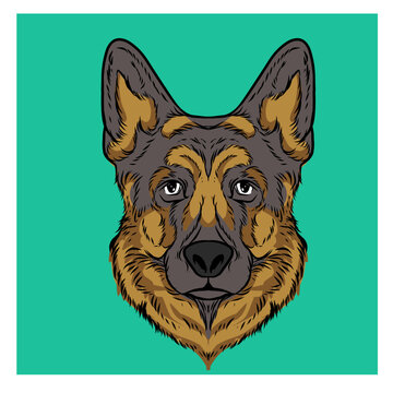 vector illustration of a dog german shepperd