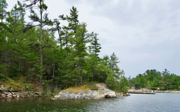 Georgian Bay Pines, Rocky shore, and Sea Plane,  Ontario Canada                             