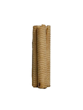 Crispy Egg Roll Biscuit (Kue Semprong) Isolated on Transparent Background