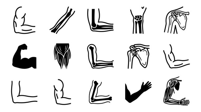 Detailed anatomical illustrations depict different arm and hand positions showcasing muscles bones and joints in a classic black and white style