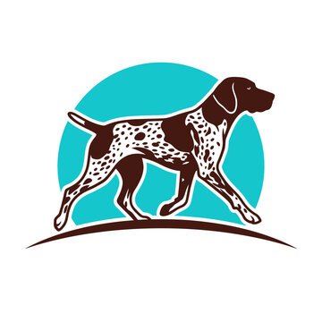 Walking pointer dog with blue circle backdrop.