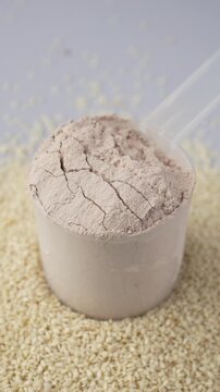 Plant Protein Powder on a Scoop