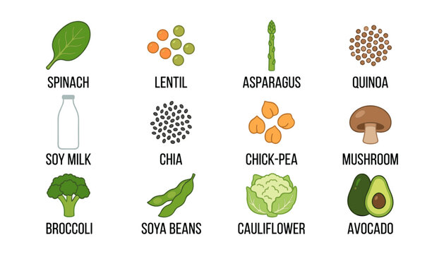 Colorful vector plant-based food and ingredient set featuring spinach soymilk quinoa and avocado icons