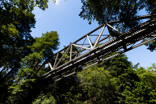 Felton, United States: Steel railway bridge crosses over Pipeline Road in Henry Cowell Redwoods State Park.