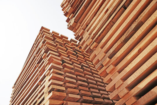 Stacks of edged boards stacked on top of each other, taken from bottom to top against background of bright sky. Fresh sawn boards stacked in high pilesIndustrial lumber storage at sawmill
