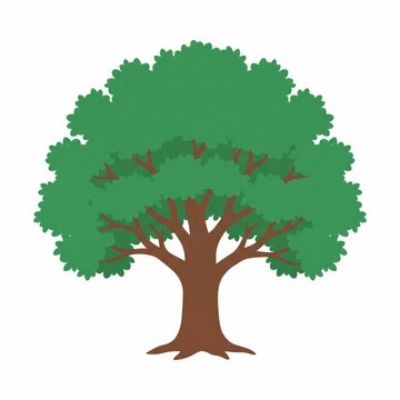 tree with roots