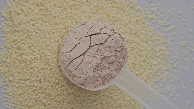 Plant Protein Powder on a Scoop