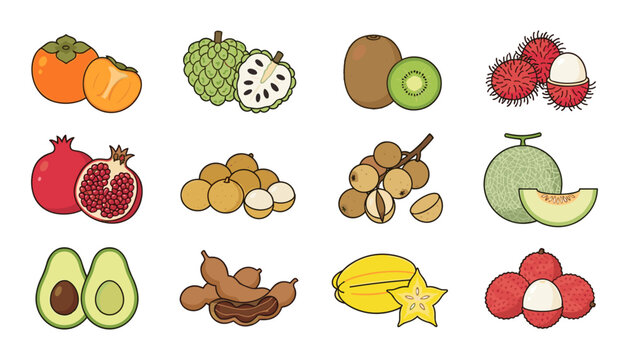 Fresh Tropical and Exotic Fruits Vector Illustration Set Featuring Rambutan, Custard Apple, Starfruit, Tamarind, and Pomegranate Icons for Healthy Food Graphic Designs