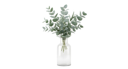 Eucalyptus branches in a transparent glass vase on black background © Jurairat