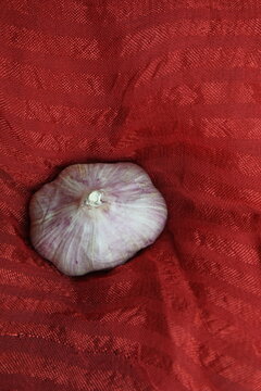 Single garlic bulb on red fabric texture background with copy space