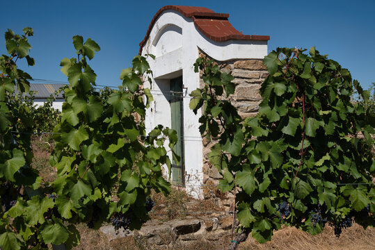 Weinviertel in &Ouml;sterreich