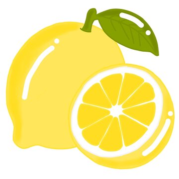 vector illustration of lemon