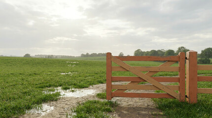 Fototapeta premium Wooden Farm Gate Standing Ajar on Muddy Path Leading Through Green Pasture Under Overcast Sky