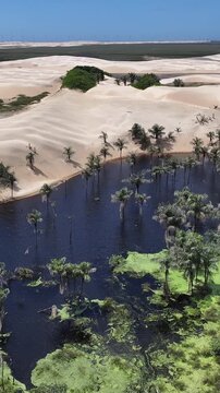 Paulino Neves Skyline In Paulino Neves Maranhao Brazil. Turquoise Lagoons And Sand Dunes Creating Inspiring Landscape. Landmark Coast. Tropical Skyline. Paulino Neves Maranhao.
