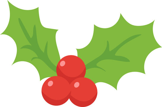 Christmas Holly Leaves and Red Berries, Festive Holiday Vector Illustration