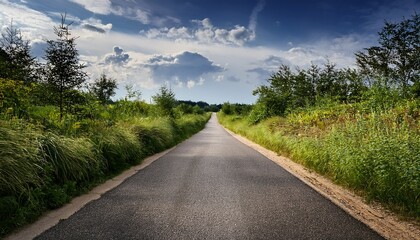 Fototapeta premium a modern asphalt road transitioning into a rough overgrown dirt path