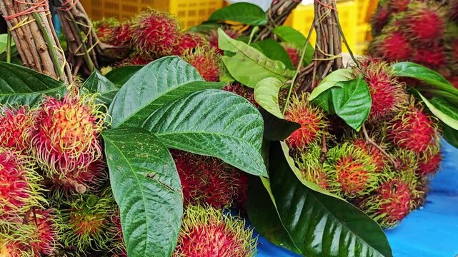 Rambutan, fresh fruits on backgroung.