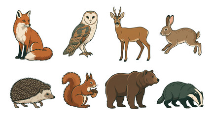 Obraz premium Illustrated forest animals collection, set of 8 woodland wildlife icons. Hand drawn fox, bear, owl, and deer characters on white.