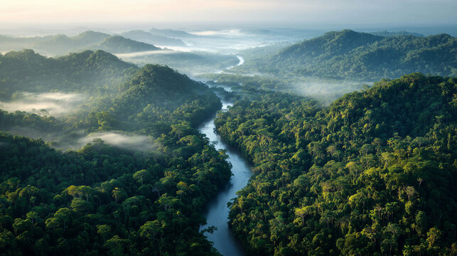 Amazon Rainforest aerial panorama with winding river through dense tropical jungle, morning mist, vibrant green canopy, ultra realistic drone photography, HDR, 8K, no people