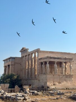 ruins of the roman forum