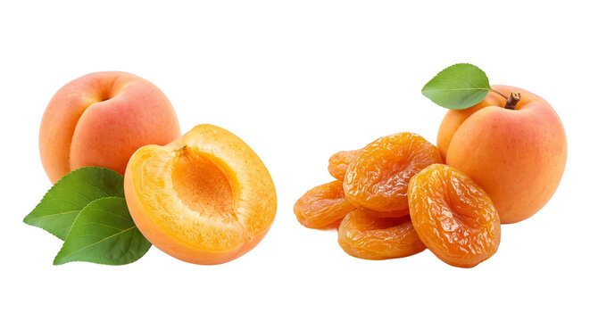Fresh ripe orange apricots whole half cut with green leaves and dried apricot fruits on transparent background.