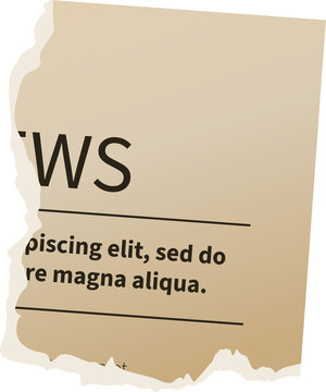 Newspaper Torn Piece Retro