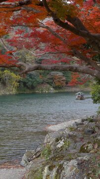 Fall travel in Kyoto, Japan, tourists enjoy a boat ride on the Katsura River during autumn season. 