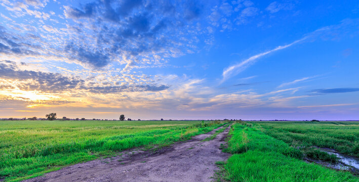 Wide open field with dirt path