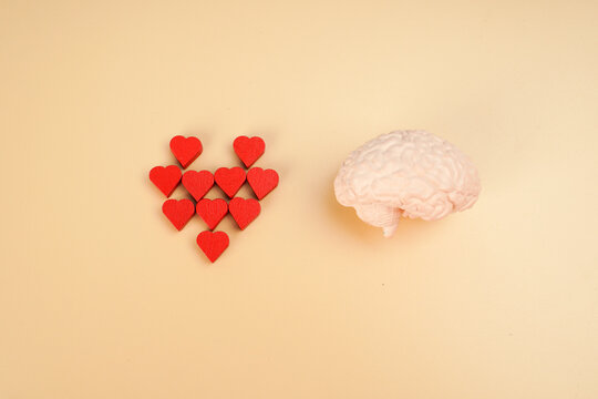 Human brain model beside red hearts arranged in a heart shape, representing emotional intelligence, love, mental wellness, empathy, psychology and emotional health.
