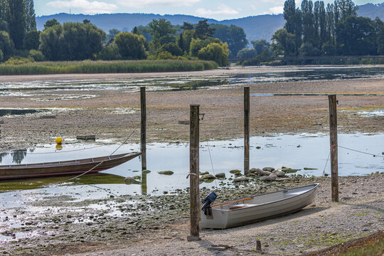 The Rhine river of the Lower Rhine from Lake Constance reached the record low water lever, due to permenant draught. Water body shrink and raval banks are largely exposed and boats lay dry on land.