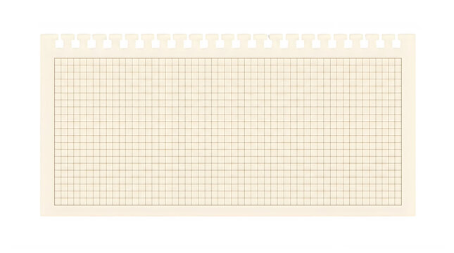 Blank lined paper sheet with perforated edge for notes and business accounting records.