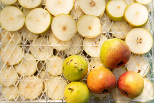 Top-view close-up of ripe whole farm pears placed over thin pear slices arranged on a drying tray for preservation. Perfect for dehydrator appliance advertising, healthy snack recipe blogs, organic fo