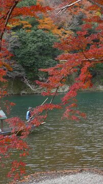 Fall travel in Kyoto, Japan, tourists enjoy a boat ride on the Katsura River during autumn season. 