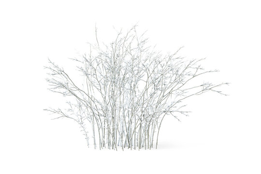 Winter snowy bush with frozen branches isolated on transparent background